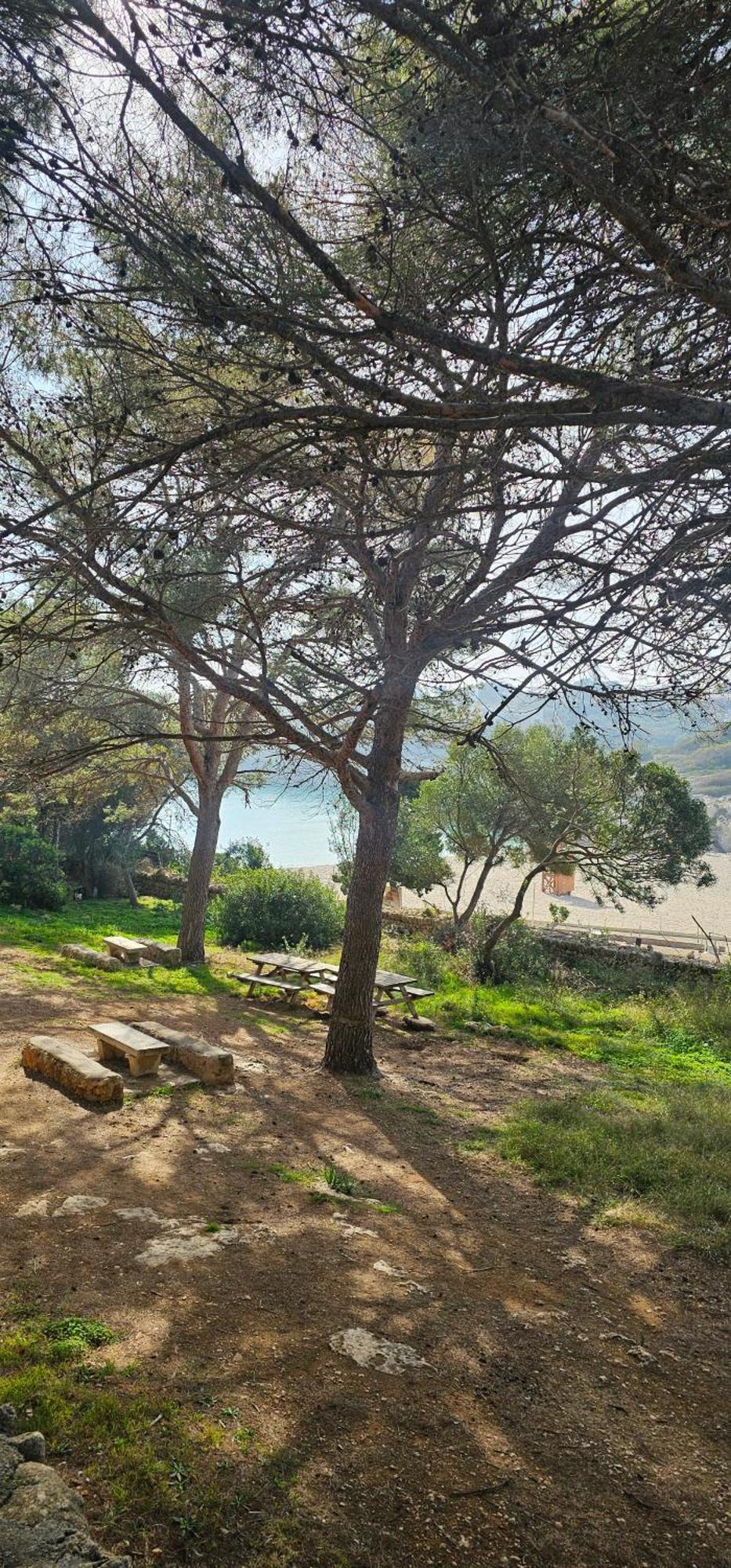 Casa Domingos Cales De Mallorca Extérieur photo
